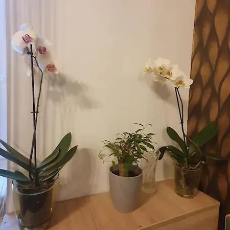 Ap Central Croitorilor Cu Parcare Cluj-Napoca